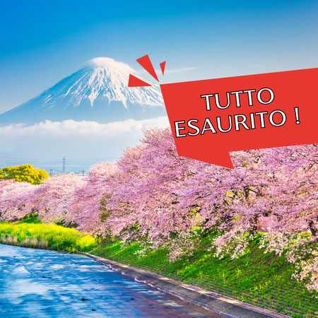 Gran Tour del Giappone in Fiore - dalla via dei Samurai al Monte Fuji - Volo Diretto!