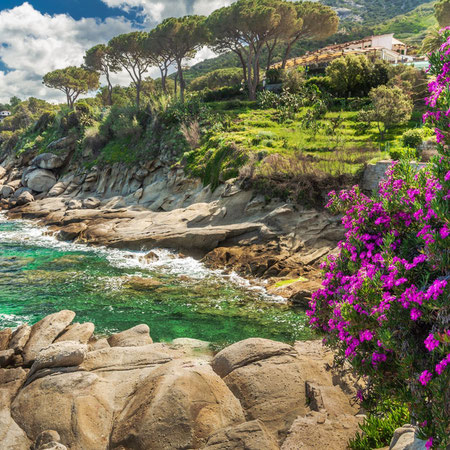Minitour di Inizio Estate all'Isola D'Elba: Mare, Borghi e Natura