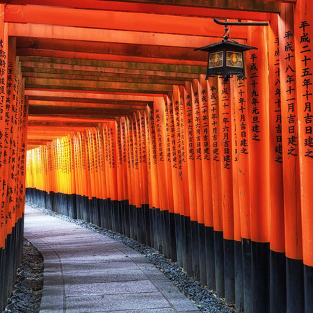 Gran Tour Meraviglie del Giappone - Partenza Garantita